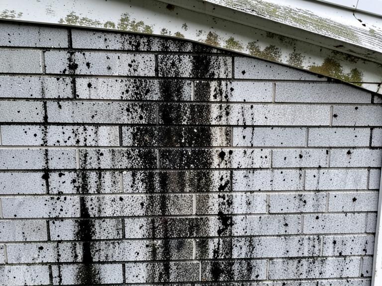 Brick Siding before washing